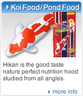 koi food