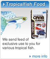 tropicalfish food