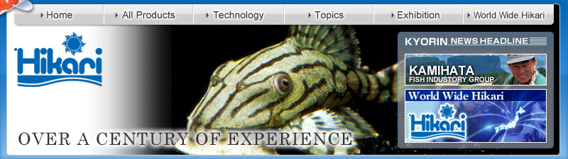 OVER A CENTURY OF EXPERIENCE