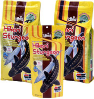 Hikari Sturgeon