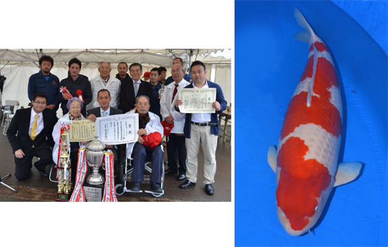 Japan Rinyukai Koi Show