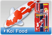Koi Food