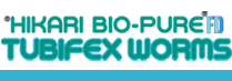 Hikari Bio-Pure FD TUBIFEX WORMS