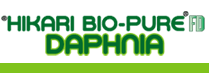 Hikari Bio-Pure FD DAPHNIA