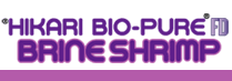 Hikari Bio-Pure FD BRINE SHRIMP