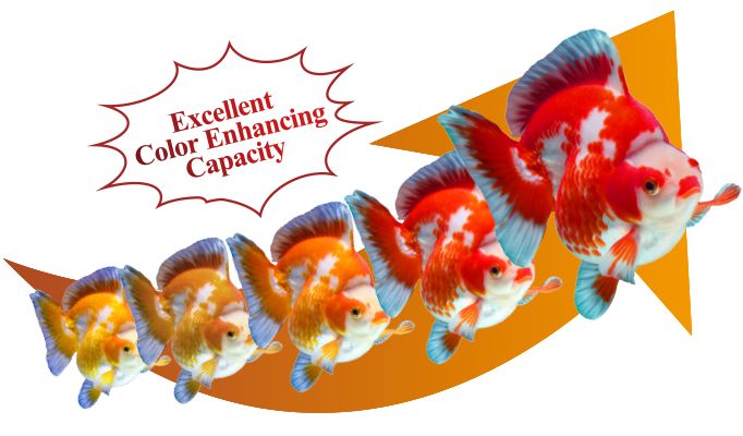 Excellent Color Enchancing Capacity