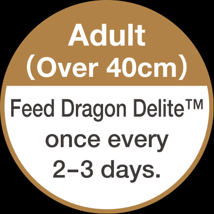 Adult(Over 40cm)Feed Dragon Delite once every 2-3 days.