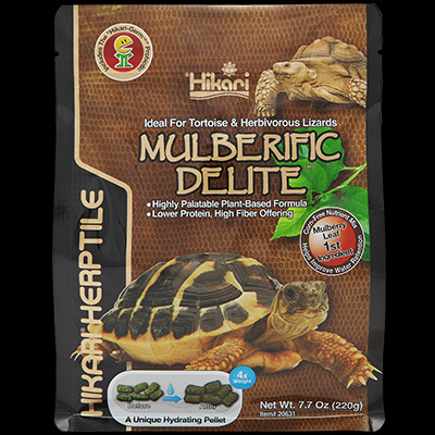 MULBERIFIC DELITE