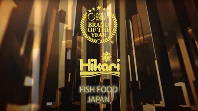 Winner Clip Hikari