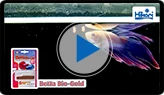 Betta Bio-Gold