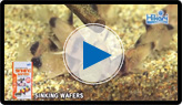 SINKING WAFERS
