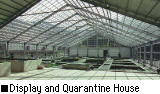 Display and Quarantine House
