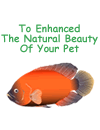 To Enhanced The Natural Beauty Of Your Pet