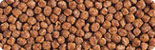 baby pellet