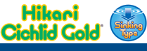 Hikari Cichlid Cichlid Gold Sinking